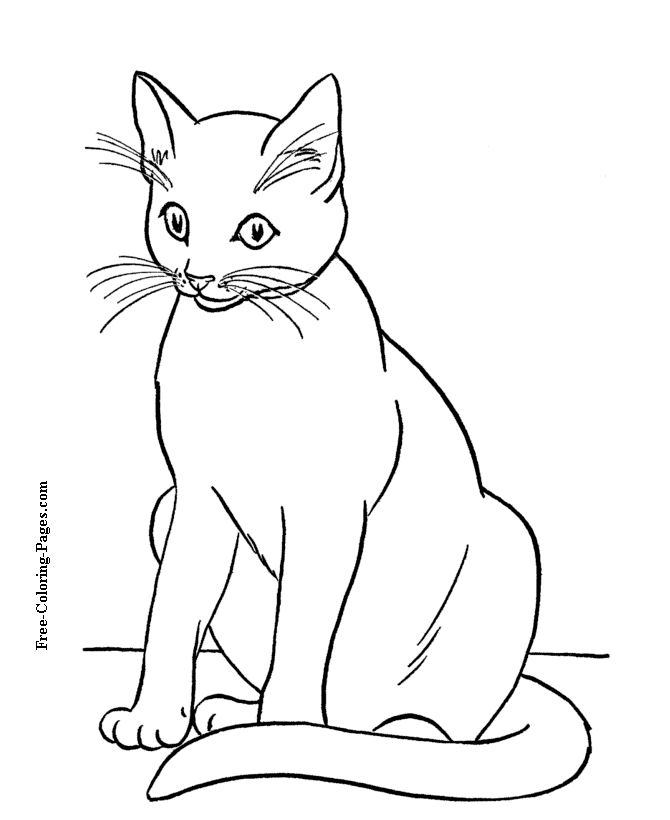 Cat to print and color - Siamese
