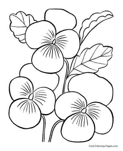 Flower Coloring Pages Flowers Detailed