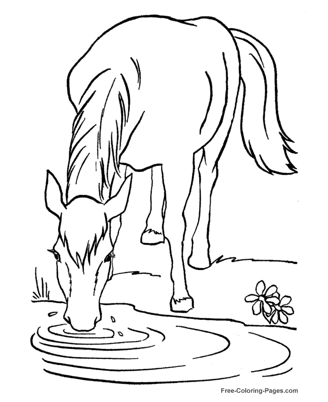 Free horse coloring sheets to color