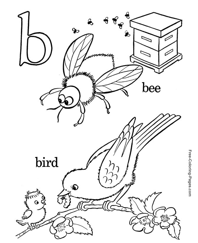 Alphabet coloring pages - B is for Bird