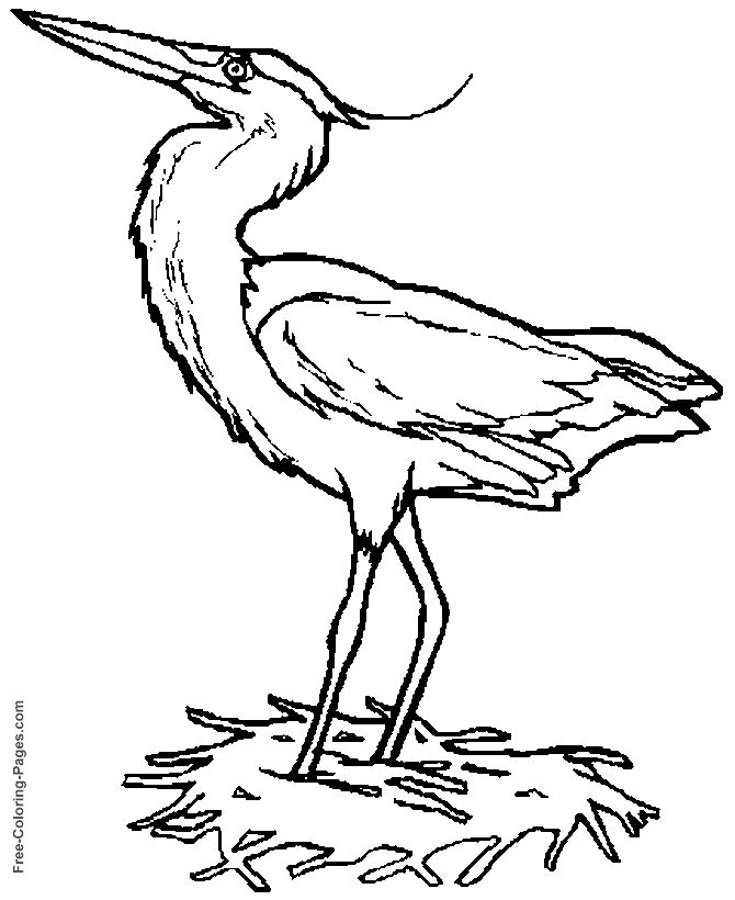 Animal coloring pages - Heron