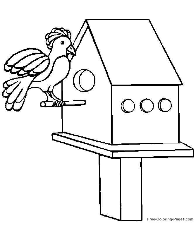 Birds coloring book pages - Bird house