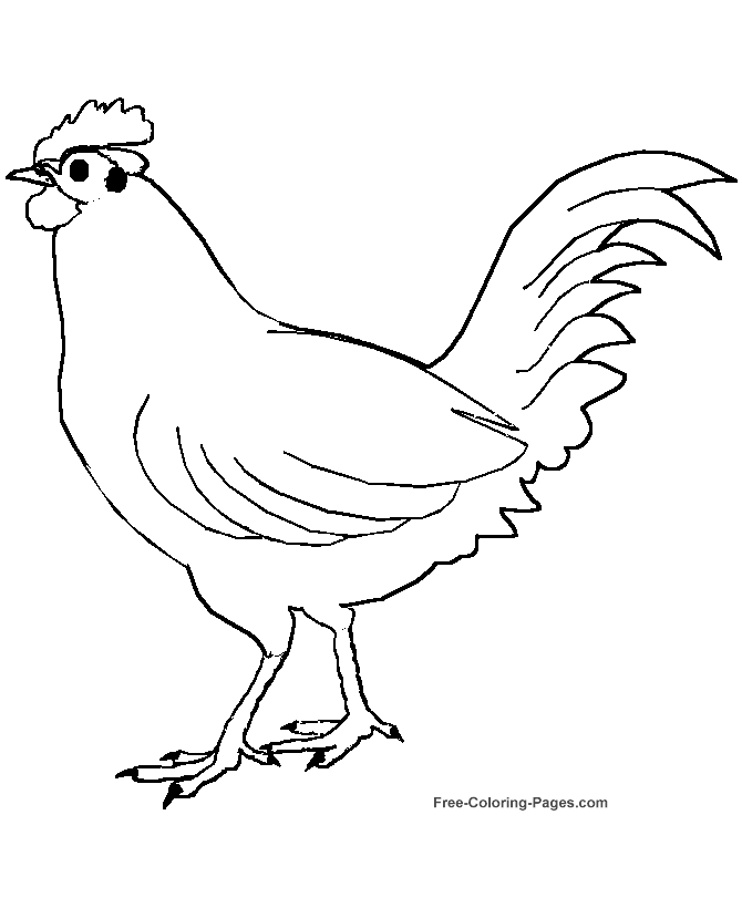 Bird coloring pages - Chickens