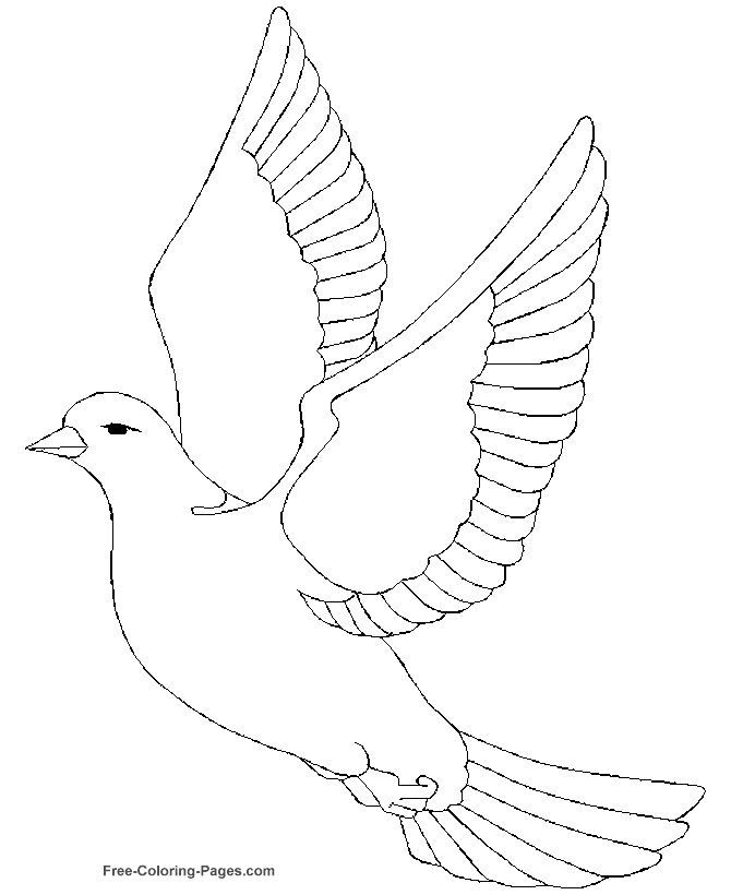 Bird coloring pages - Dove