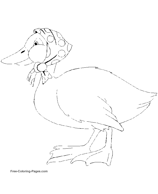 Bird coloring pages - Ducks