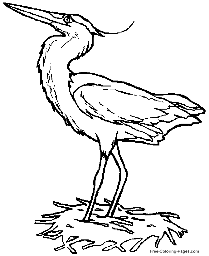 Bird coloring pages - Heron