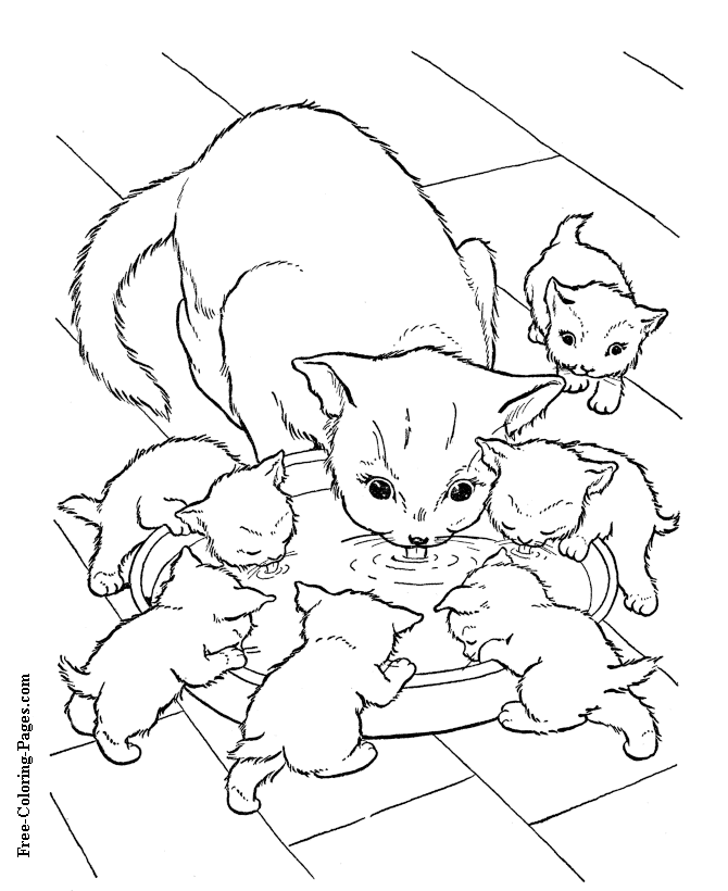 Cat and kittens to color