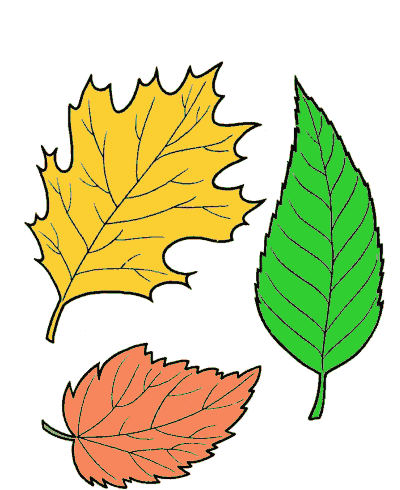 Print and Color Fall