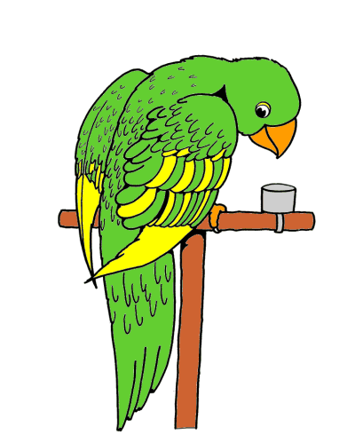 Coloring pages of birds