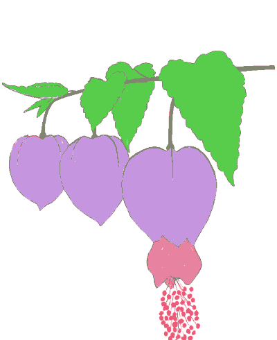 Flowers coloring pages