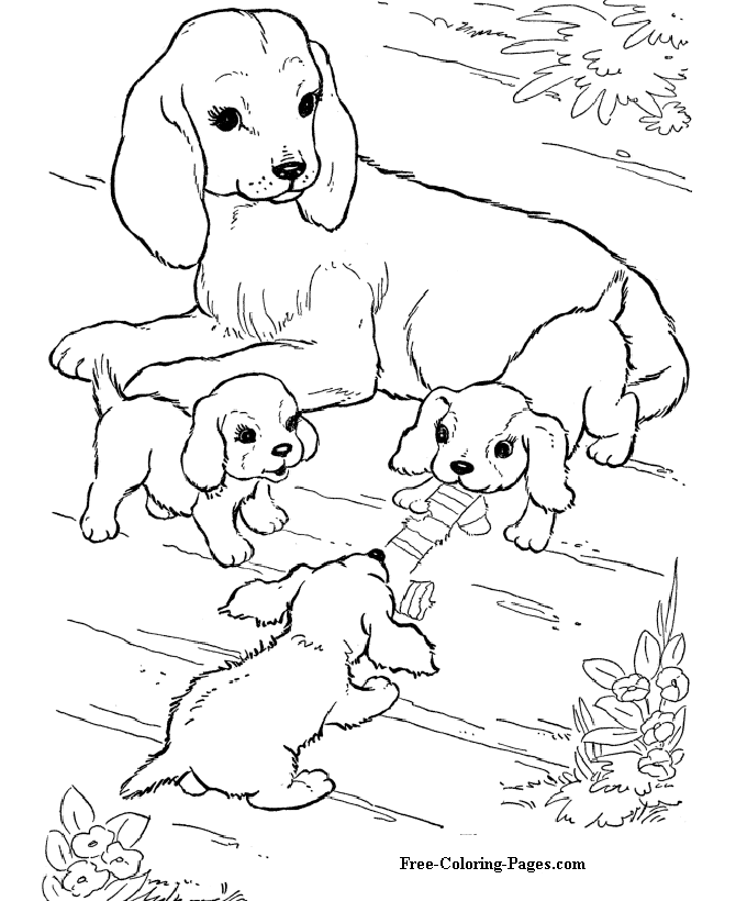 Dogs coloring pages - Puppies!