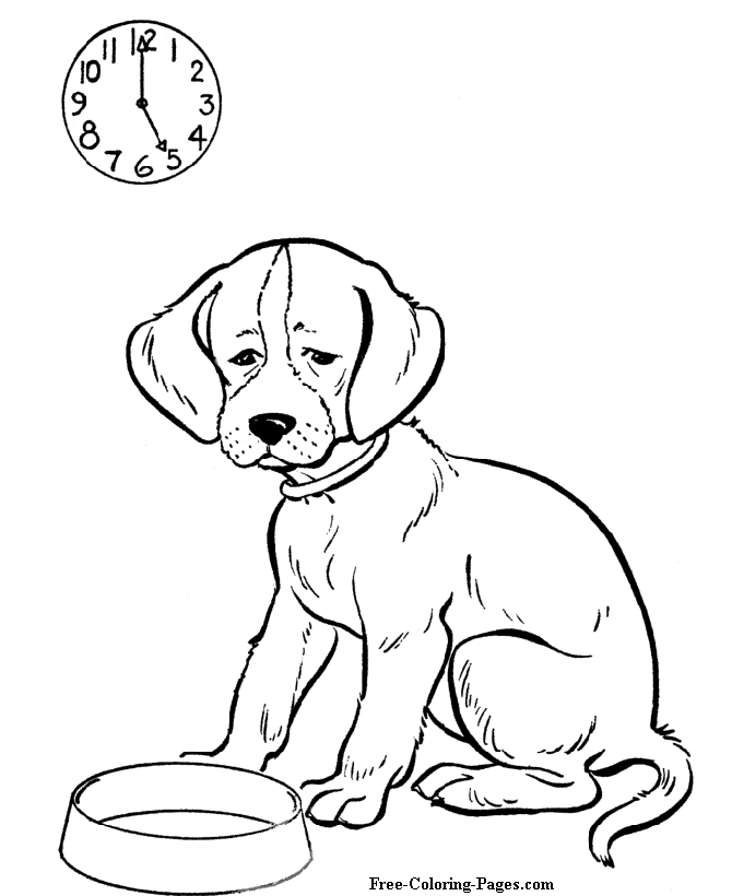 Coloring pages of dogs -  Meal time!