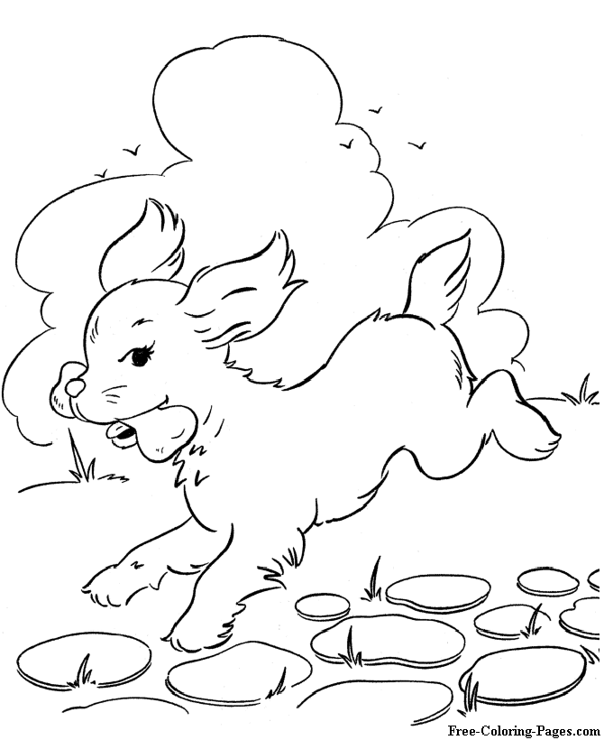 Print coloring pages of dogs -  Fun!