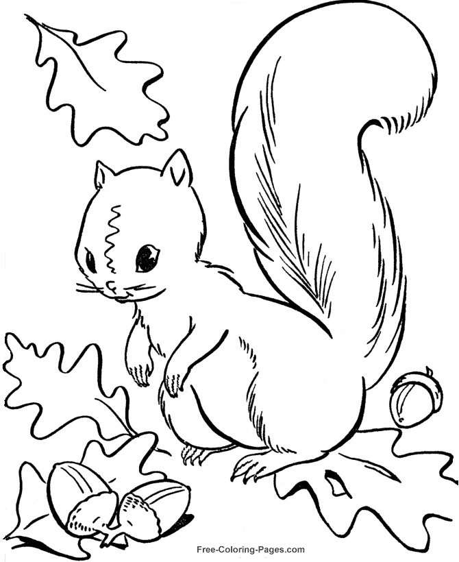 Autumn Coloring Pages, Sheets and Pictures