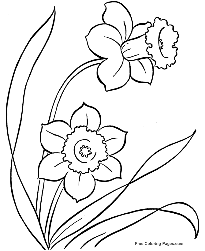 Flower coloring pages to color