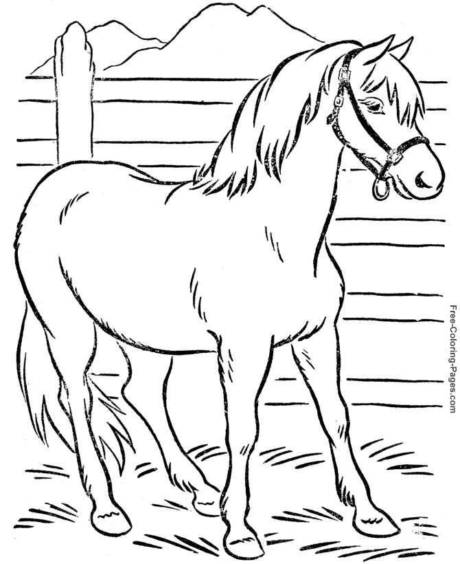 Horse coloring book pages to print