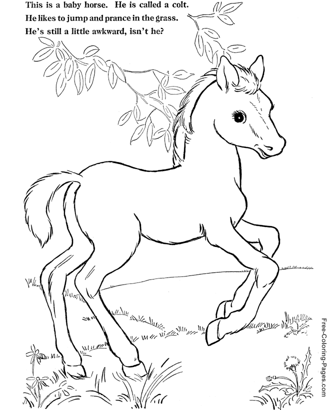Coloring pages of horses - Print and Color