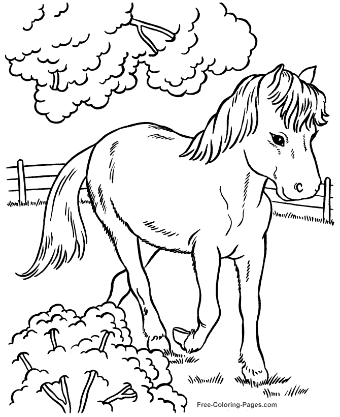 Coloring pictures of Horses