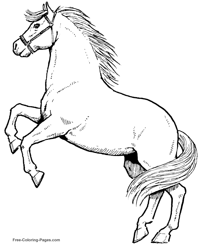 Free horses coloring sheets and pictures