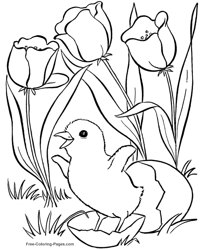 Spring Coloring Book Pictures - 24